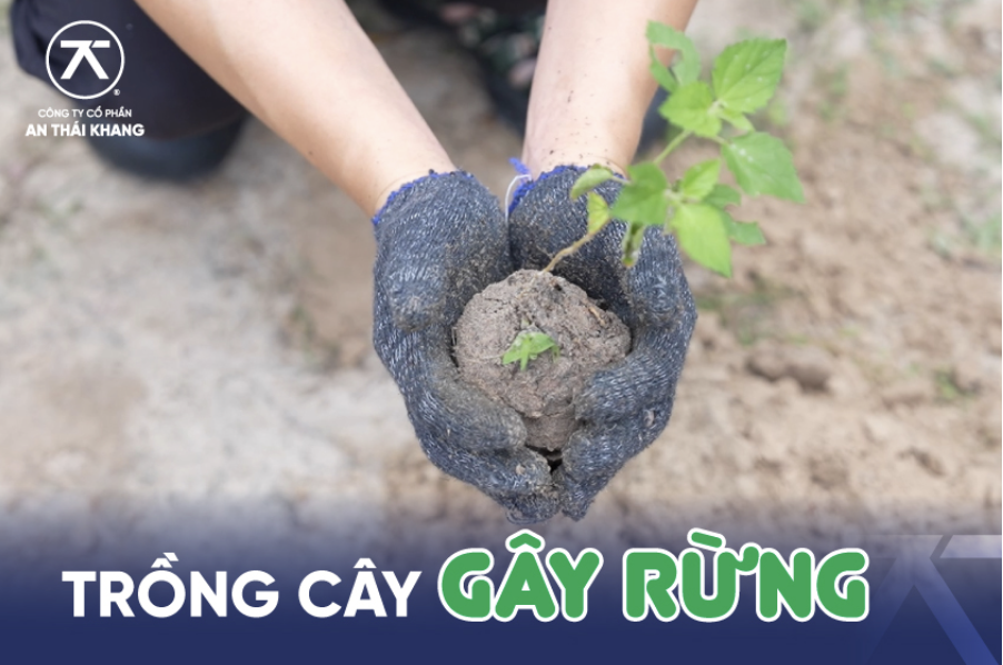 GREEN ACTIVITIES - AN THAI KHANG PLANTS OVER 100 BLACK EBONY TREES FOR REFORESTATION