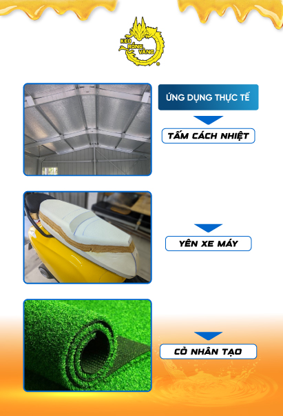 Gold Dragon Adhesive P-60 3