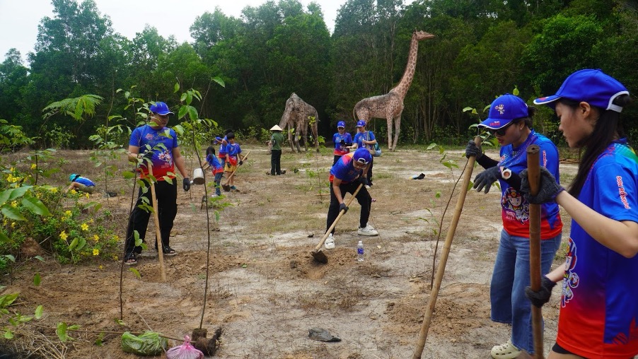 Hoạt động trồng cây Sao Đen gây rừng với sự tham gia của tập thể An Thái Khang