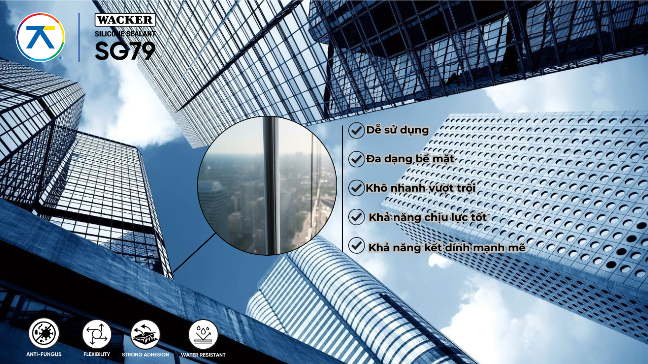 mo-ta-silicone-wacker-sg79